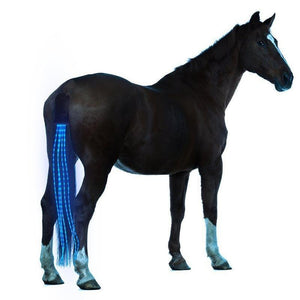 HorseTL™: Colored Horse Tail Lights