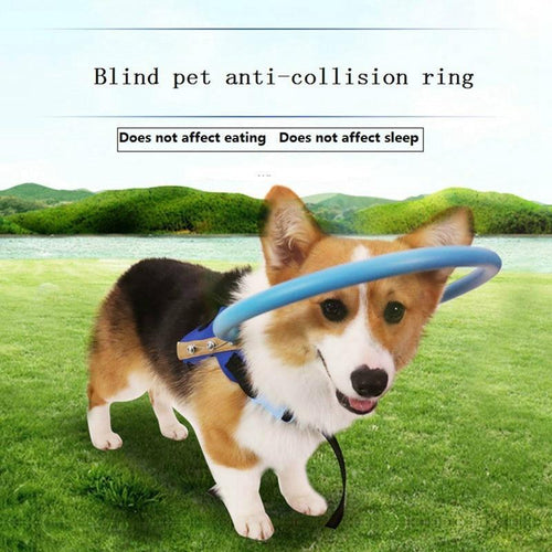 BDB™: Blind Dog Bumper Collar