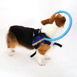 BDB™: Blind Dog Bumper Collar